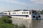 Das Kabinenfahrgastschiff PRINS WILLEM-ALEXANDER, ENI: 02325776, registriert in Harderwijk (NL), am Anleger in Königswinter. Aufnahmedatum: 14.05.2023.

