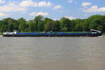 Gütermotorschiff DADAN, ENI: 02317634, Flagge: Niederlande. Rheinabwärts bei Königswinter am 14.05.2023.