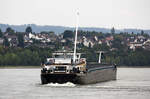 GMS DIVA-ROMY (EIN:02330161)L.135 m B.11,45 m T 4246 Flagge Niederlande auf dem Rhein am 22.08.2023 zu Berg in Andernach.