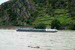 TMS  RIVAL  (02339115 , 85 x 9,50m) befuhr am 10.06.2024 den  RHEIN  bei km 559,..