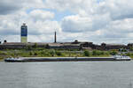 Das Gütermotorschiff ZONGA (ENI: 06105622) fährt den Rhein hinauf, so gesehen Ende Mai 2025 in Duisburg.