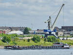Das Gütermotorschiff HARLEY (ENI: 04700060) auf dem Rhein unterwegs, so gesehen im Mai 2025 in Duisburg.