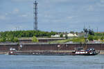 Das Gütermotorschiff HARLEY (ENI: 04700060) auf dem Rhein unterwegs, so gesehen im Mai 2025 in Duisburg.