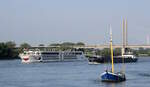 Der  RHEIN  bei Rees am 13.06.2025.