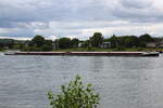 Schubverband aus SGMS INNOVATION (ENI 02328555) und GSL INNOVATION II (ENI 02328556), Flagge: NED.