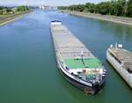 GMS Hera, rheinaufwärts bei der Einfahrt in die Schleuse Vogelgrün/Elsaß, L=100m, Tonnage 2259t, 1200 PS, Baujahr 1974, Mai 2025  