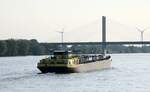 TMS  PIZ ALBRIS  (07001823 , 85,75 x 11,40m) am 12.06.2025 auf dem  RHEIN  bei Rees zu Tal.