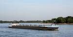 TMS  OTD.ALPHA  (02329682 , 110 x 11,40m)  am 12.06.2025 auf dem  RHEIN  vor Rees zu Tal.