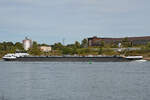 Das Tankmotorschiff GITTE (EIN: 02337099) fährt den Rhein hinauf.