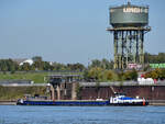 Im Bild das Gütermotorschiff JOLIBA (ENI: 04022290), welches Ende September 2025 auf dem Rhein bei Duisburg unterwegs war.