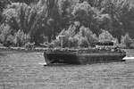 Ende September 2025 habe ich auf dem Rhein bei Duisburg das Tankmotorschiff SALACIA (ENI: 02338795) ablichten können.