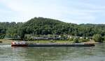 TMS  SYNTHESE-1  (ENI 02325952 , 85,88 x 11,40m) am 14.06.2025 auf dem  RHEIN  bei St.Goar-Fellen zu Tal. TMS  SYNTHESE-1  (ENI 02325952 , 85,88 x 11,40m) am 14.06.2025 auf dem  RHEIN  bei St.Goar-Fellen zu Tal.