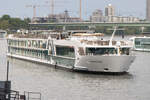 MS AMADEUS CARA (ENI: 02339509) auf dem Rhein in K�ln am 02.05.2026