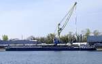 GMS CALIFORNIE, ankert im Rheinhafen Neubreisach (Neuf-Brisach) Elsa�, M�rz 2026