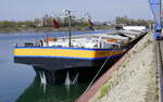 SGMS KARL KRIEGER ENI 04606130 ankert im Rheinhafen Breisach, M�rz 2026