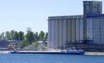 SGMS MARK HARDI III ENI 02327155, ankert im Hafen von Neubreisach (Neuf-Brisach)/Elsa�