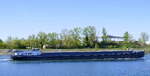 GMS PELGRIM ENI 02313923, rheinabw�rts nach Breisach,