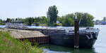 GMS LYDIA ENI 02313791, ankert im Rheinhafen Breisach, Mai 2026