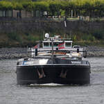 Das 1994 gebaute G�termotorschiff BORNRIF (ENI: 02321276) auf dem Rhein, so gesehen Anfang September 2026 in D�sseldorf.