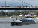 Das Tankmotorschiff CARPE OMNIA (ENI: 02340467) ist hier Anfang September 2026 auf dem Rhein in D�sseldorf zu sehen.