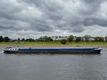 Das G�termotorschiff MERCATOR (ENI:05501730) f�hrt den Rhein hinab, so gesehen Anfang September 2026 in D�sseldorf.
