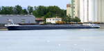 GMS LAZARO ENI 06105126, ankert im Rheinhafen von Neubreisach (Neuf-Brisach) Elsa�, Juni 2026