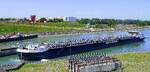 TMS TIEPOLO ENI 02340118, rheinaufw�rts vor der Staustufe Vogelgr�n/Elsa�, Mai 2026