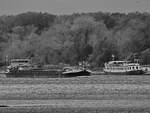 Im Bild das Frachtschiff BANDOLINO (ENI: 04502460) und das Fahrgastschiff RIVERSTAR (ENI: 04034020). (D�sseldorf, September 2026)