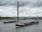 Die Frachtschiffe BANDOLINO (ENI: 04502460) und MERCATOR (ENI:05501730) begegnen sich auf dem Rhein, so gesehen Anfang September 2026 in D�sseldorf.