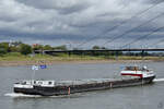 Das G�termotorschiff AQUITAINE (ENI: 02319450) f�hrt den Rhein hinauf, so gesehen Anfang September 2026 in D�sseldorf.