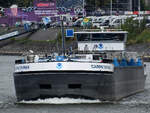 Das Tankmotorschiff CARPE OMNIA (ENI: 02340467) ist hier Anfang September 2026 auf dem Rhein in D�sseldorf zu sehen.