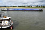 Das 1994 gebaute G�termotorschiff BORNRIF (ENI: 02321276) auf dem Rhein, so gesehen Anfang September 2026 in D�sseldorf.