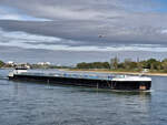 Nur leicht beladen konnten die Schiffe am 19.9.2026 auf dem Rhein verkehren.