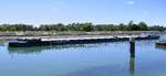 GMS ELBIA ENI 04801200, rheinaufw�rts vor der Schleuse Vogelgr�n/Elsa� in Warteposition, Juni 2026