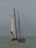 . Segelschiff „Jeppe van Schier“ gebaut im Jahr 1903 als Frachtschiff bei der Firma Boot te Leiderdorp, seit 2007 ist es als Personenschiff auf dem Ijsselmeer unterwegs, bei Tagesausflügen bietet es 35 Personen Platz, bei Mehrtagesfahrten nimmt es bis zu 28 Personen mit; L 37,50 m; B 6,50 m; Segelfläche 300 m²; Heimathafen Schiermonnikoog, ehemaliger Name „Noord Friesland“. 29.09.2016  (Jeanny)