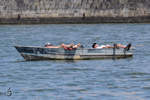 Entspannung pur auf dem Rio Douro (Porto, Mai 2013)