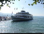 Zürichsee - Motorschiff  HELVETIA unterwegs auf dem Zürichsee beim anlegen in Rapperswil am 27.09.2023