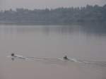 Diese beiden Speedboote waren im Mrz 2010 auf dem Mekong bei Nong Khai unterwegs.