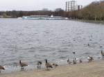 Die MS  Havel Queen  trumt an der Greenwichpromenade in Berlin-Tegel vom besseren Wetter. Das Schiff gehrt zur grten Berliner Fahrgastreederei  Stern und Kreisschiffahrt GmbH . L=66,98m, B=8,99m, Baujahr war 1988 bei den Deutschen Industrie Werken in Berlin-Spandau. Das Schiff verfgt ber zwei MAN Diesel von je 300 PS. Die beiden Schaufelrder laufen nicht nur frei mit. Sie werden von zwei Elektromotore mit je 18kW angetrieben. Im Vordergrund Gste aus dem hohen Norden, Nonnengnse. Blhhner und Stockenten sind hier eher heimisch. Foto: 4.2.2007