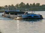 MS Tiffany  ENI 04001950 - L 80m - B 9.05m - Tg 2.50m - T 1144 - PS 800-MAN - Bj 1942 in Bodenwerder./ Gemeldet in Berlin/D. Zu Tal in Riesenbeck am 26.09.10. 