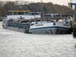 MS Capriastar  ENI 06000183 - L 95m - B 9.50m - Tg 3.22m - PS 1200-ABC - Bj 1974 in Rupelmonde/B./ Gemeldet in Schmachtenhagen/D. Hier im Oberwasser der Schleuse Mnster am 13.11.09.