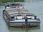 GMS Gio-Ley - 02313449 - Lnge: 57 m - Breite: 7,03 m - Tiefgang: 2.52m -Tonnage: 688 - PS 485-Caterpillar - Bj 1956 bei 	Arminiuswerft, Bodenwerder - Gemeldet in Joure/NL. Hier vor Schleuse Bevergern am 11.06.2010.