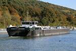 TMS  ARCHELLE  (04812320 , 84,90 x 9,58m)  am 26.10.2024  auf dem  DORTMUND-EMS-KANAL  bei Bergeshövede zu Berg.
