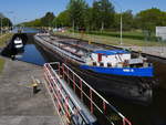 Das polnische GMS NAWA 10 (ex Ortrud Fretter, ex Hildegard Siemers, ex Transbode 26), SZCZECIN (Stettin) ENI 08348100 leer auf dem Elbe-Lübeck-Kanal Kurs Lauenburg; in der Schleuse Witzeeze, 07.05.2020
