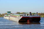Koppelverband GSL  DICK-1  (08455010 , 53,44 x 9m) & SGMS  DICK  (08451024 , 80 x 8,99m) am 28.10.2021 im  MITTELLANDKANAL  am Abzweig zur Schleuse Rothensee /  WASSERSTRASSENKREUZ MAGDEBURG.