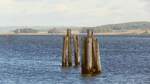 Anlegepfähle im Hafen von Wittow auf der Insel Rügen am 02.10.22.