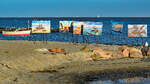 Fischereiboot SIE 101 WIM umgeben von am Strand der Ostsee bei Sierksdorf ausgestellten Bildern.