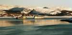 Nordnorwegen, Barentssee - Fischereifahrzeuge im Bkfjorden vor Kirkenes; links ein russischer Trawler (03.03.2006)