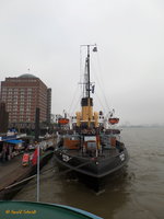 STETTIN am 16.10.2016, Hamburg bei nebligem Wetter, Elbe, Liegeplatz Museumshafen Övelgönne /   Dampfeisbrecher / BRZ 838 / Lüa 51,75 m, B 13,43 m, Tg 6,0 m / 1