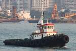 Schlepper WALLE X 10; Eigner/Betreiber: unbekannt; Aufnahmeort: Hong Kong Hafen, South China Sea, Hong Kong (China); Datum: 20.10.2011; Info: (B2924) Das Bild  zeigt die WALLE X 10 vor der